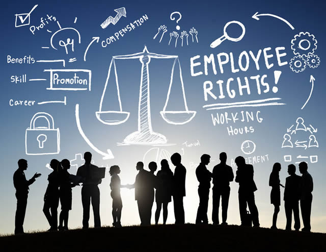 labour law
