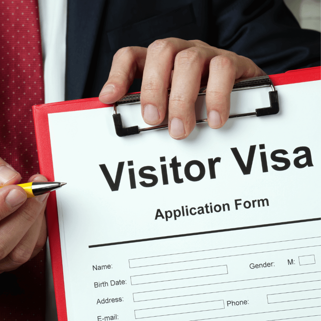 sub types of visitor visa application