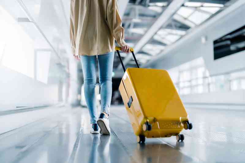 Work and Holiday Visa 462